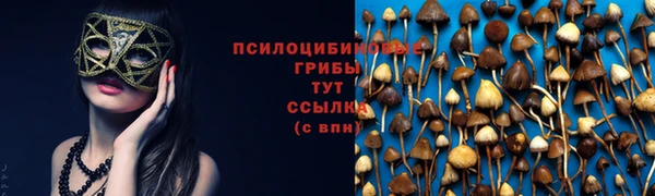 кокс Сосновка
