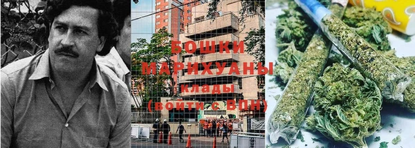 прущие крисы Балабаново