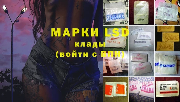 ГАЛЛЮЦИНОГЕННЫЕ ГРИБЫ Баксан