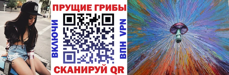 Псилоцибиновые грибы Cubensis  OMG ONION  Галич  где можно купить  